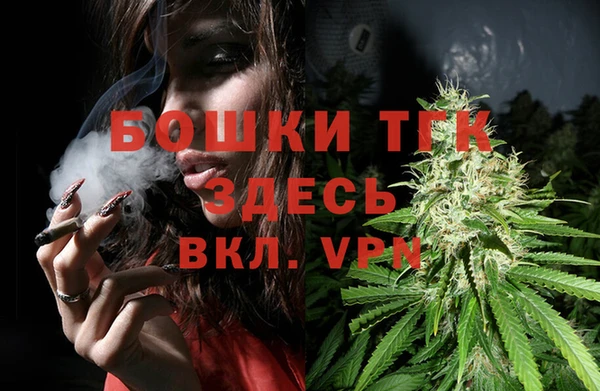 спиды Осинники