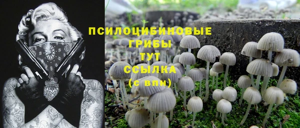спиды Осинники