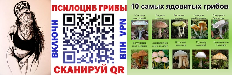 Галлюциногенные грибы Magic Shrooms  наркотики  Чита 