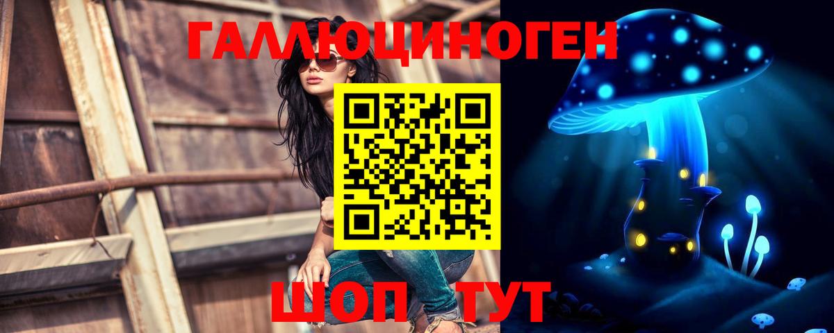 Чита  Галлюциногенные грибы MAGIC MUSHROOMS  как найти наркотики  Вход с VPN 