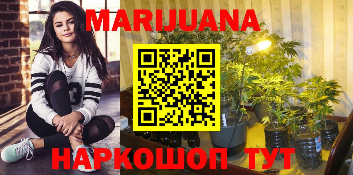 Чита  Канабис Bruce Banner  Каннабис OG Kush  Вход с VPN  Шишки марихуана планчик  Шишки марихуана сатива 